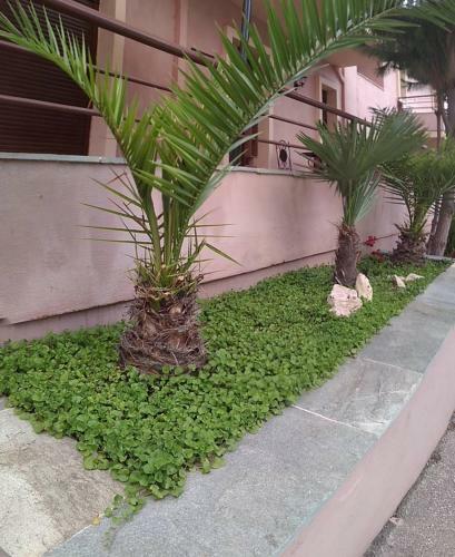 Apartamento Annouda's Maisons