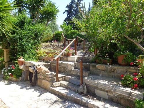 Villa Lofos Wood & Stone