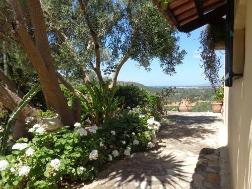 Villa Lofos Wood & Stone
