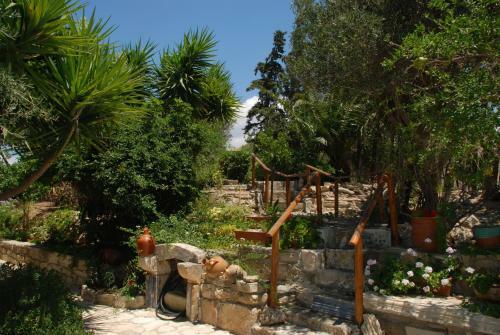 Villa Lofos Wood & Stone