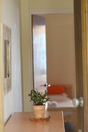 Arcadian Apartments & Studios