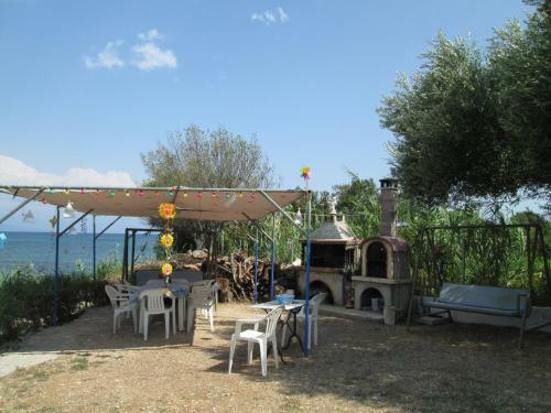 Apartamento Bio House