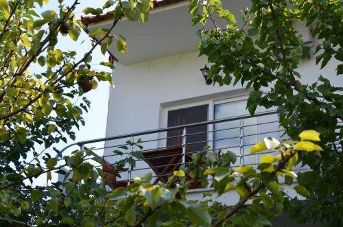 Apartamento Androni