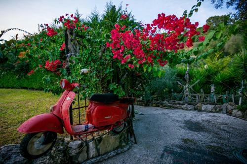Apartamento Tatiana Studio With Private Pool