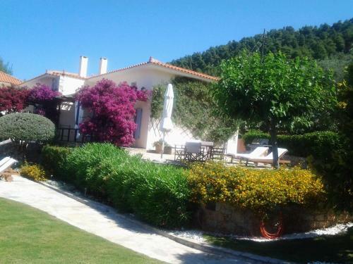 Villa Elies Houses