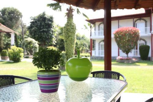 Apartamento Archontiko Driani