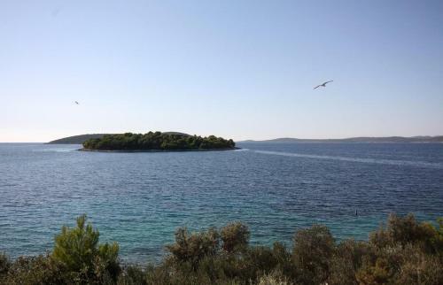 Apartments By The Sea Maslinica, Solta - 5212