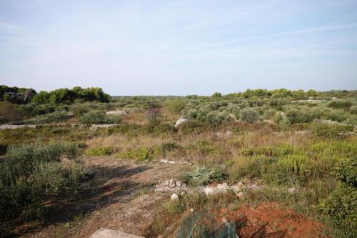 Hostal Rooms With A Parking Space Gornje Selo, Solta - 5170