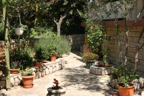 Apartment Mandre 6309e