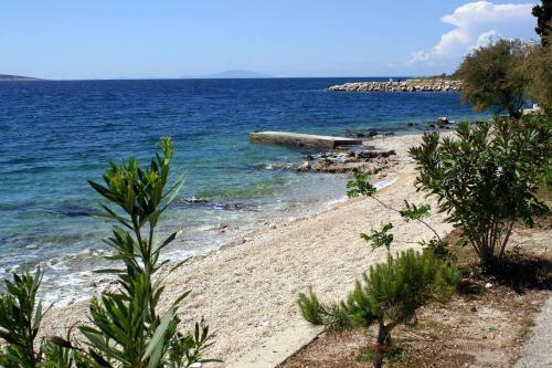 Hostal Double Room Mandre 3557a