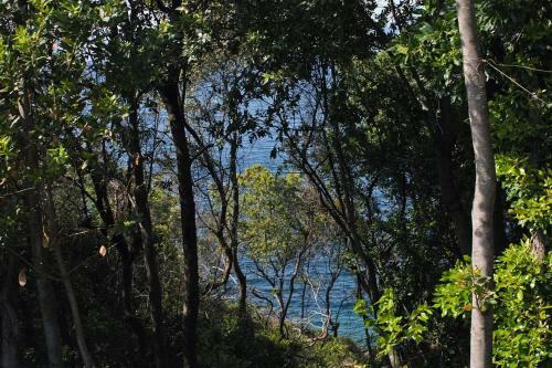 Apartments By The Sea Kozarica, Mljet - 4950