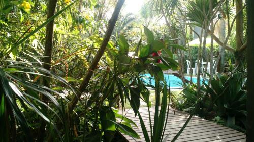 Bed & Breakfast Al�m Do Jardim