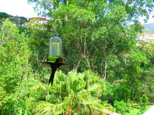 Hostal Pousada E Hostel S�o Francisco De Paula