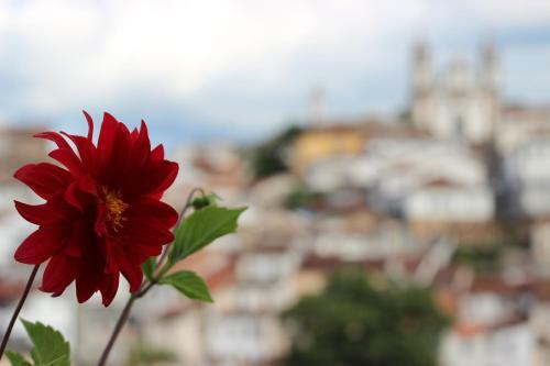 Alquimia Hospedagem