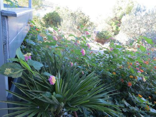 Holiday Home Artina 1