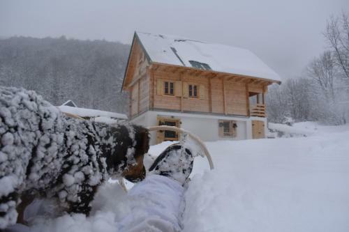 Mountain Lodge Mont Peace