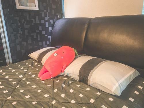 Hostal The Ceo Suites