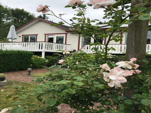 Scenic Holiday Home In Balk Near Lake