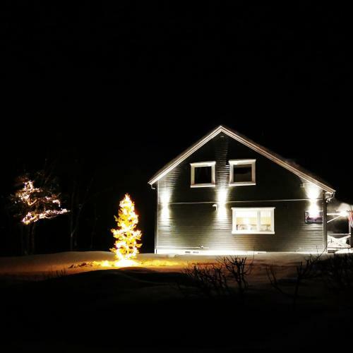 Elvestua