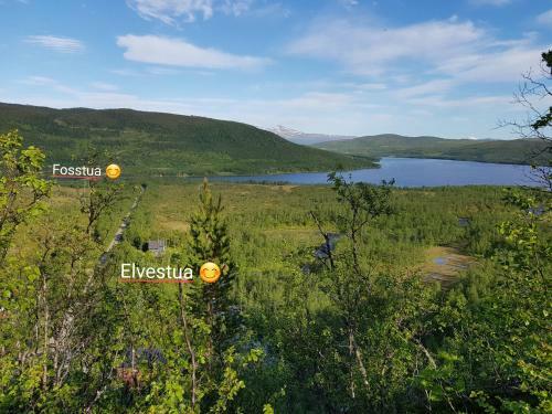 Elvestua