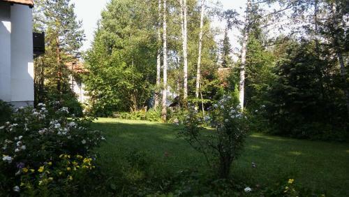 Apartmani Eho Zlatibor