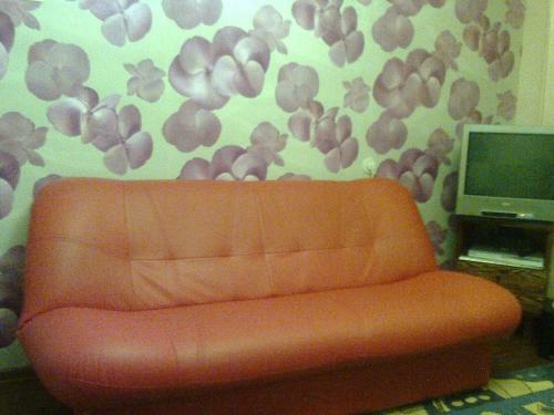 Apartamento Leningradskaya 30