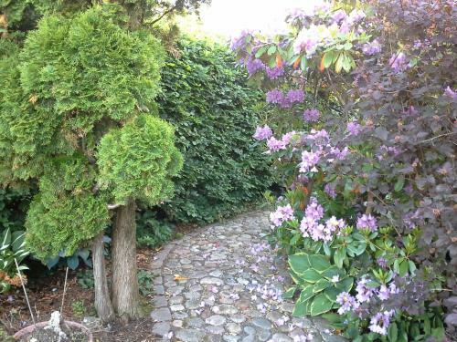 Koppes M�lle B&B