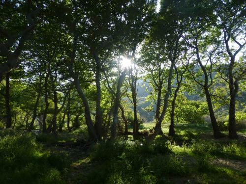 Agroturismo Onar Andros