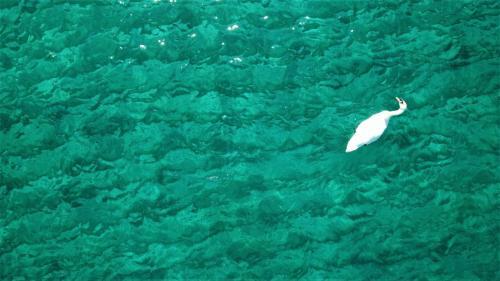 Agroturismo Onar Andros