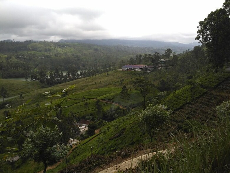 Hotel Dam House