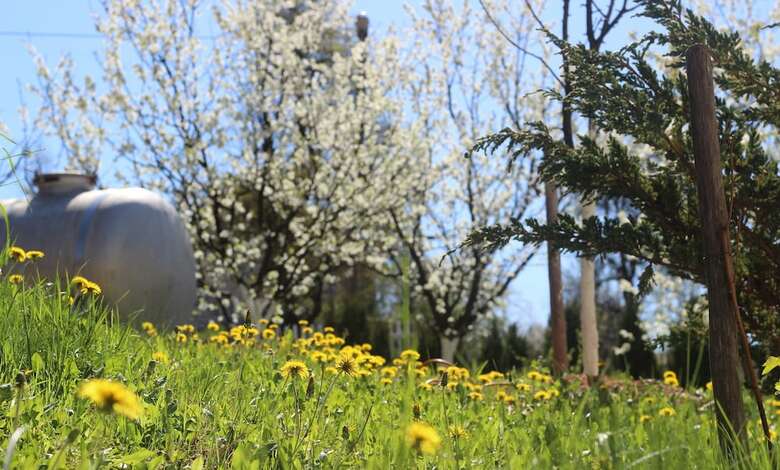 Bergkranc Hotel & Resort