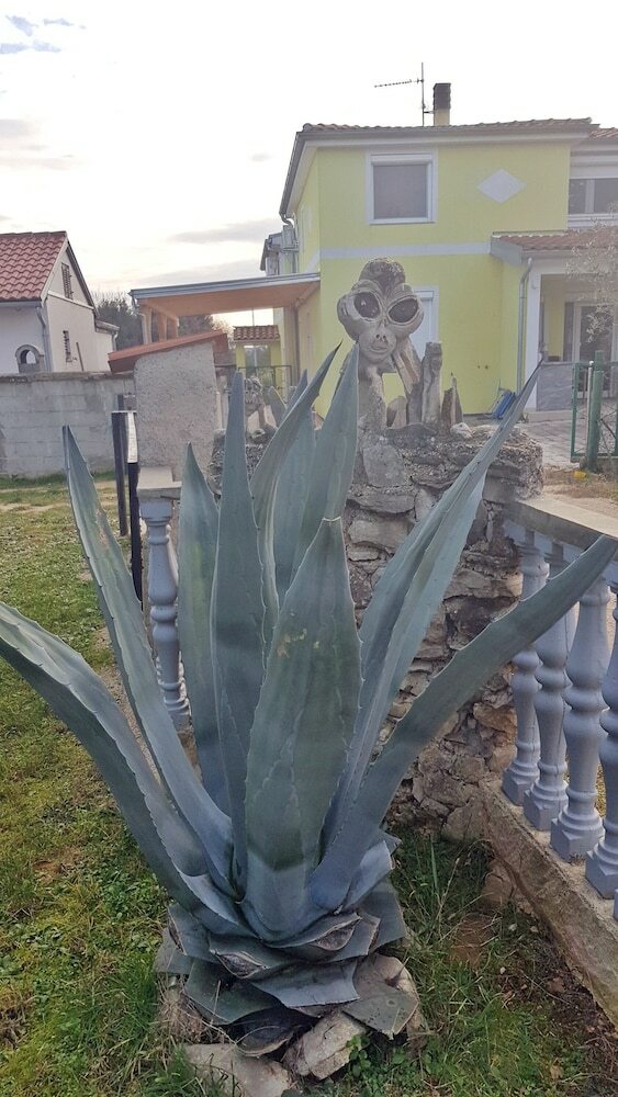 Apartment Damjan