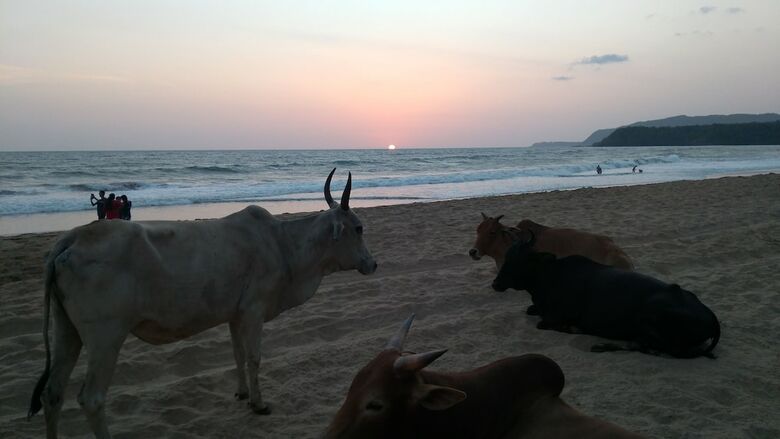 Hotel Goa Cottages Agonda