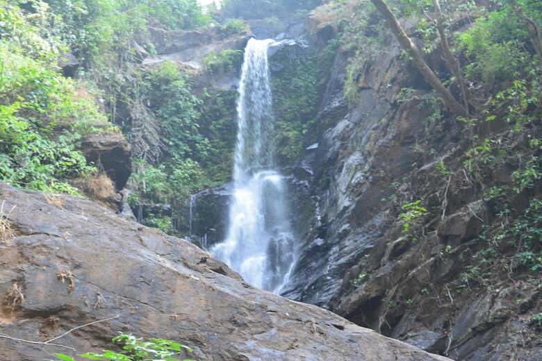 Hotel Goa Cottages Agonda