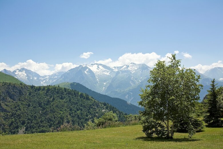 Hotel H�tel Le Pic Blanc