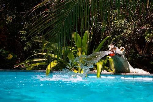Hostal Pousada Estrela De Munda�