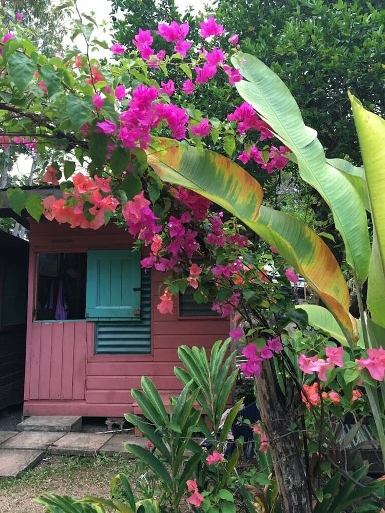 Bed & Breakfast Firefly Beach Cottages And Suites
