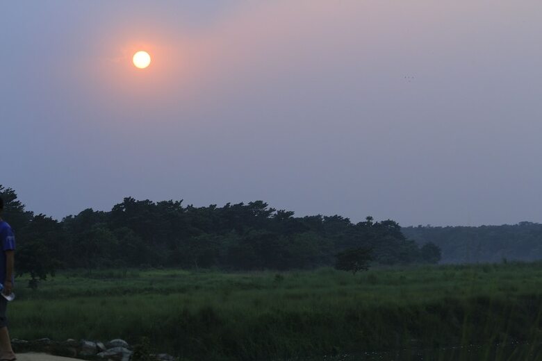 Hotel Chitwan Safari Camp & Lodge
