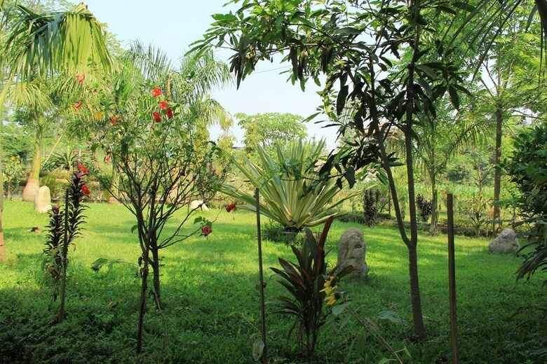 Hotel Chitwan Safari Camp & Lodge