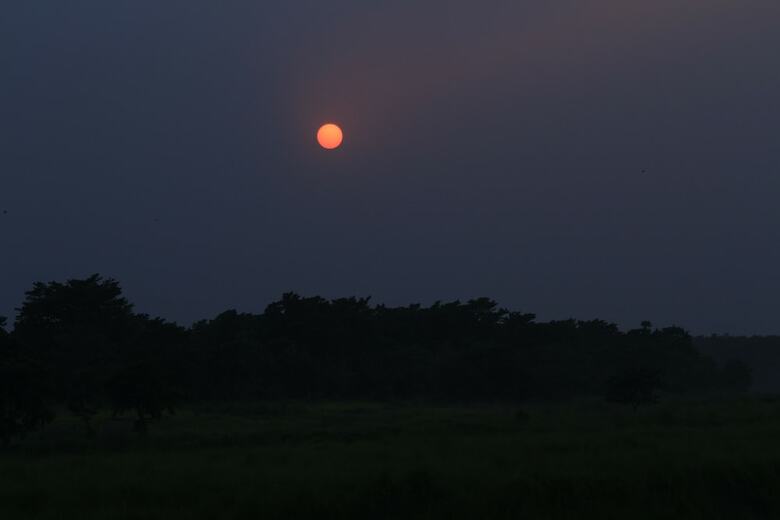 Hotel Chitwan Safari Camp & Lodge