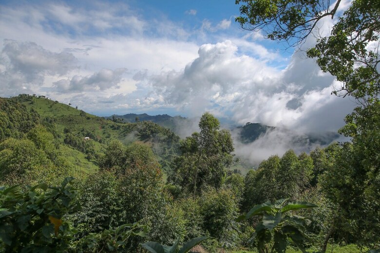 Posada Nkuringo Bwindi Gorilla Lodge