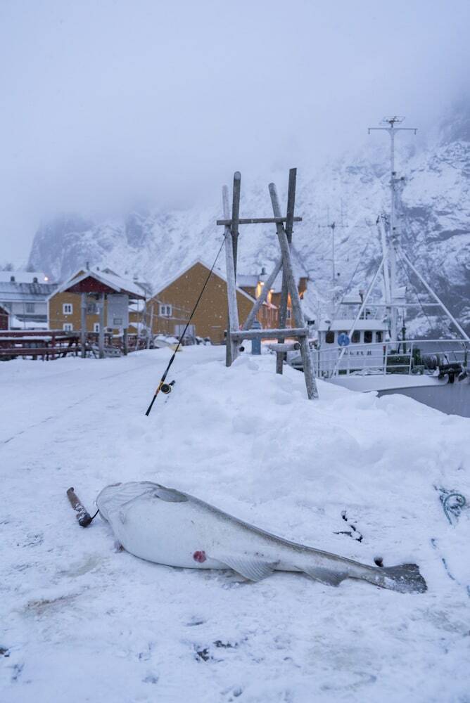 Apartamentos Lofoten Cottages