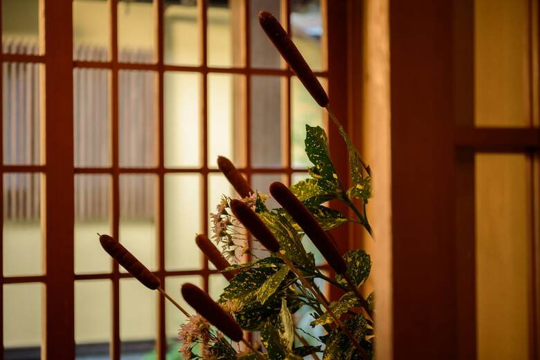 Yufuin Onsen Wafu Ryokan Tsuenosho