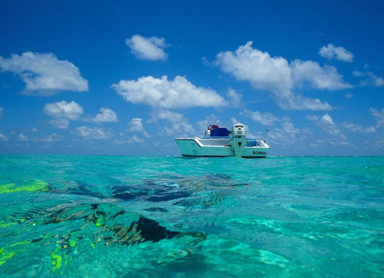 Apartamento Belize Boutique Resort & Spa