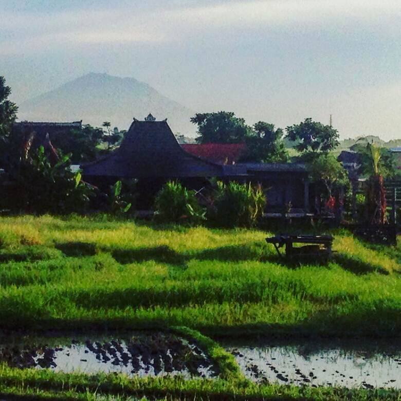 Hotel Oasis Canggu Bali