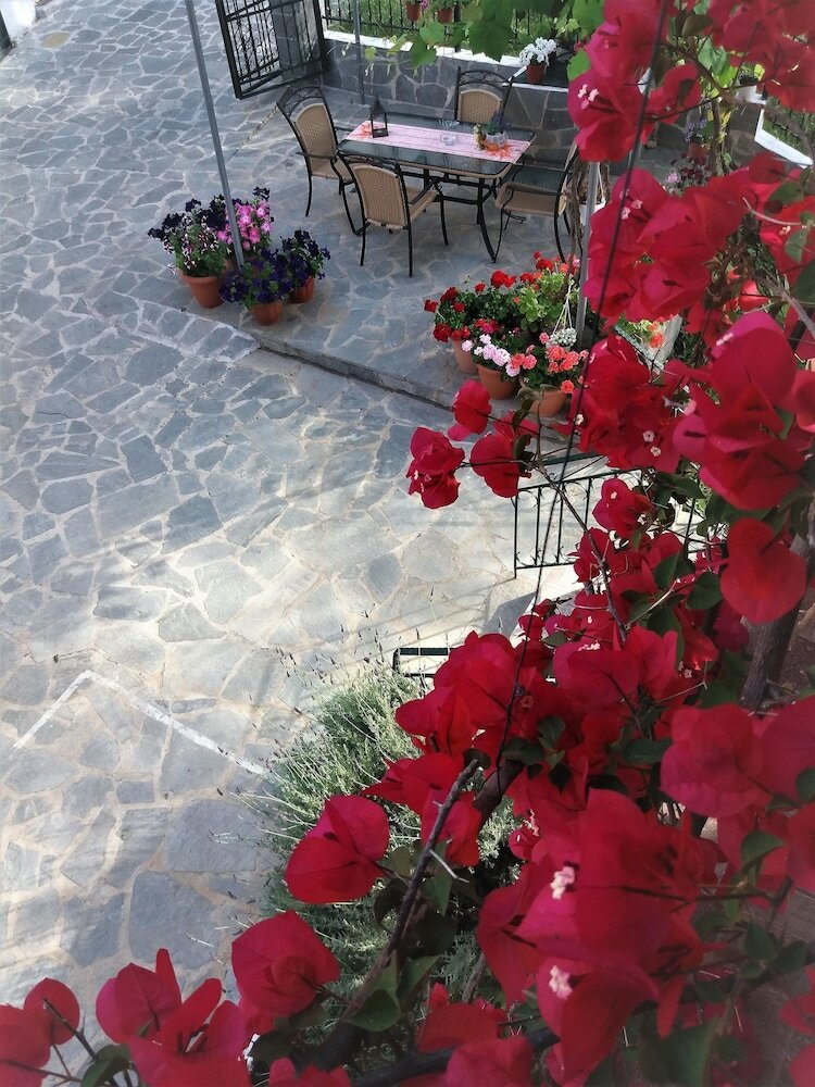 Ziogas Apartments