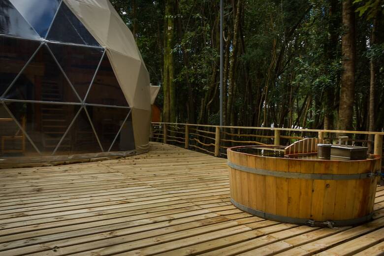 Caba�as Ensenada Bosque Nativo