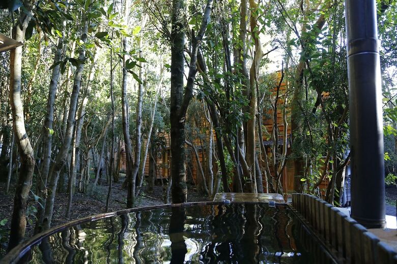 Caba�as Ensenada Bosque Nativo