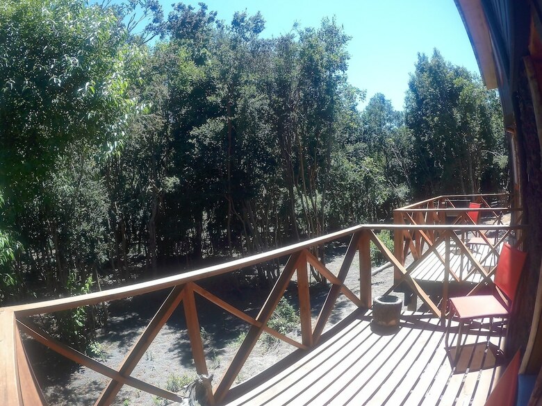 Caba�as Ensenada Bosque Nativo