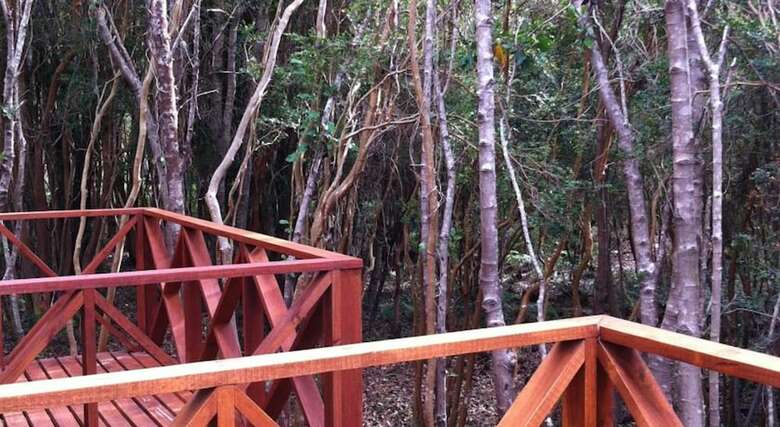 Caba�as Ensenada Bosque Nativo